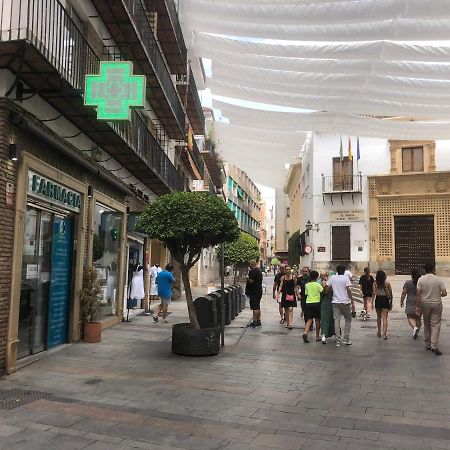 코르도바 Entre El Centro Y La Mezquita Totalmente Climatizado Parking Gratuito 아파트 외부 사진